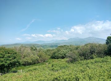united-kingdom/caernarfonshire/attraction/caeau-tan-y-bwlch-north-wales-wildlife-trust-nature-reserve