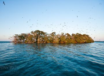 belize/belize-barrier-reef/attraction/man-o-war-caye