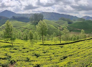 india/munnar/attraction/signal-point-munnar