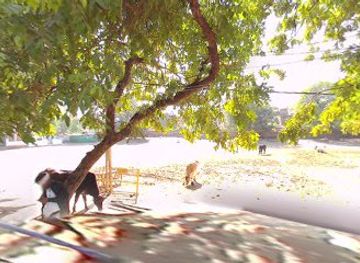 india/gwalior/attraction/intak-park-selfie-point