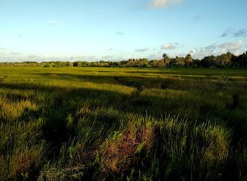 maldives/fuvahmulah-island/attraction/hoadhadi-nature-park