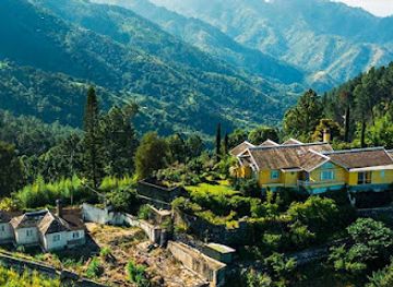 jamaica/cornwall-county/attraction/pinky-on-the-river