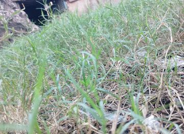 philippines/zamboanga-city/attraction/zamboanga-city