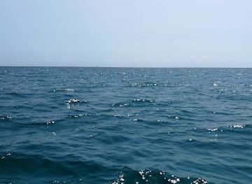 kenya/eastern-region/attraction/watamu-marine-national-park