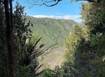 new-zealand/manawatu-wanganui/attraction/white-horse-rapids-lookout