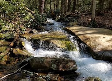 west-virginia/coopers-rock-state-forest/attraction/hemlock-trail