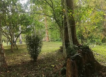 ghana/ashanti-region/attraction/bunso-arboretum