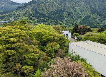 japan/hakone/attraction/picasso-pavilion