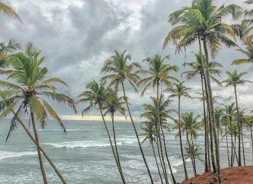 sri-lanka/unawatuna/attraction/mirissa-beach