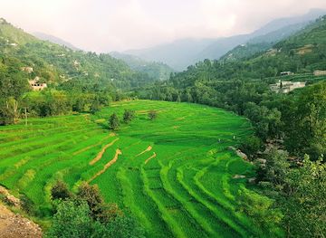 pakistan/swat-valley/attraction/sangar-top