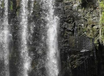 costa-rica/guanacaste/attraction/llanos-de-cortes