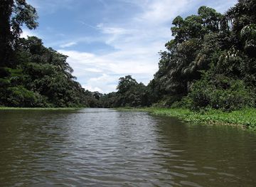 costa-rica/tortuguero-national-park/attraction/tortuguero