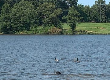 arkansas/crowley-s-ridge/attraction/reynolds-park