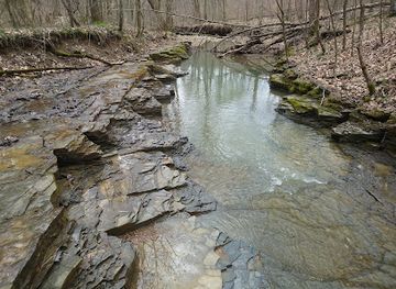 indiana/hoosier-national-forest/attraction/two-lakes-loop-trail
