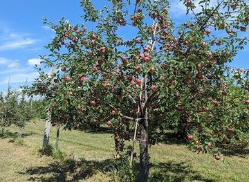 canada/ottawa/attraction/verger-croque-pomme-cidery-orchard