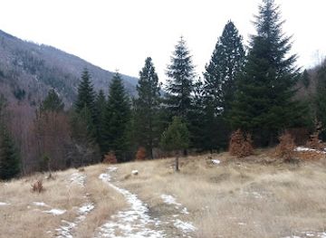 albania/kolonja/attraction/kantieri