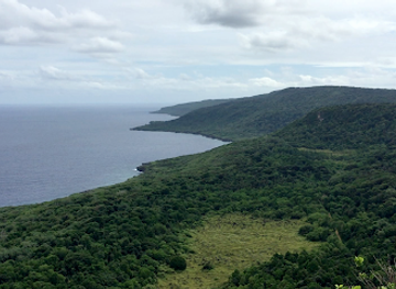 Margaret Knoll Lookout