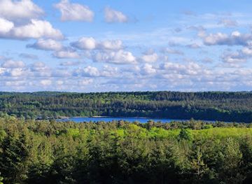 denmark/silkeborg/landmark/lovisehoj