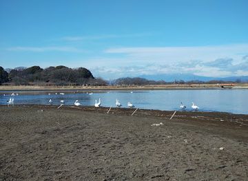 japan/kanto/attraction/tataranuma-park