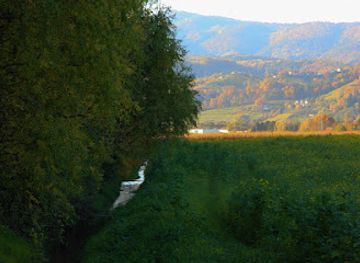 slovenia/maribor-pohorje/attraction/pot-ob-pekrski-gorci-path-along-pekrska-gorca