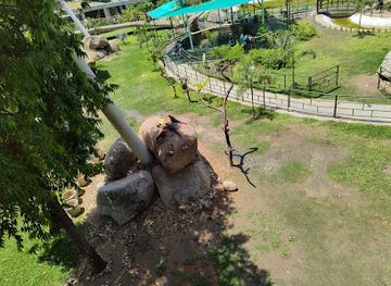 india/vadodara/attraction/walk-in-aviary