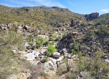 arizona/saguaro-national-park/attraction/upper-tanque-verde-falls-trailhead