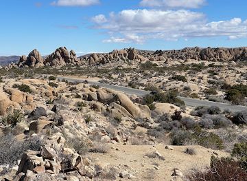 california/joshua-tree-national-park/attraction/discovery-trail
