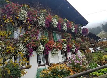 switzerland/grindelwald/attraction/staubbachbankli