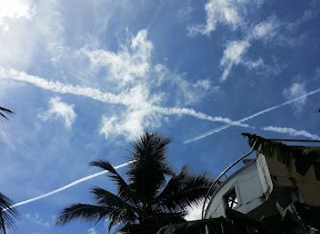 sri-lanka/colombo/attraction/traditional-puppet-art-museum