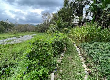 indonesia/bukit-lawang/attraction/botanical-garden