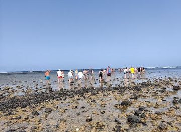 cabo-verde/espargos/attraction/shark-bay