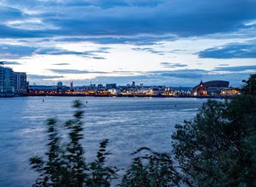 united-kingdom/cardiff/city-centre/attraction/roald-dahl-the-enormous-crocodile