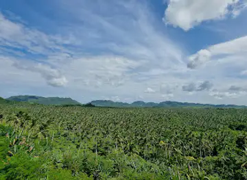 Siargao Human Drones Mountain View