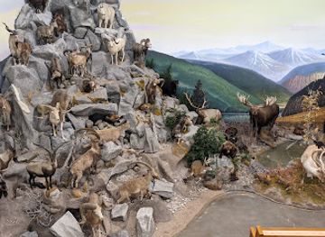 nevada/northern-nevada/attraction/northeastern-nevada-museum