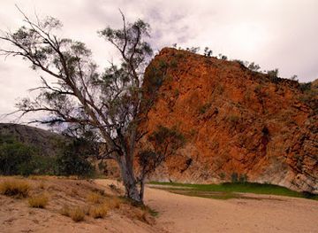 australia/red-centre/attraction/n-dhala-gorge
