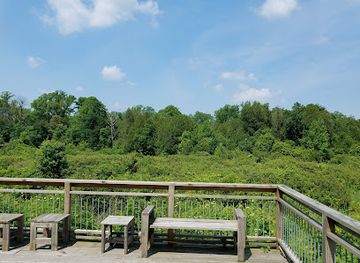 ohio/southwest-ohio/attraction/cedar-bog-nature-preserve