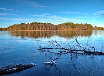 massachusetts/north-shore/attraction/j-c-phillips-nature-preserve