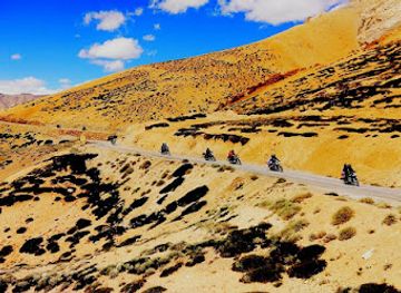 india/leh/attraction/wildhimalaya-tours-travel