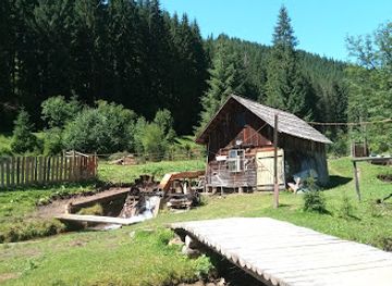 romania/maramures/attraction/muzeul-radacinilor