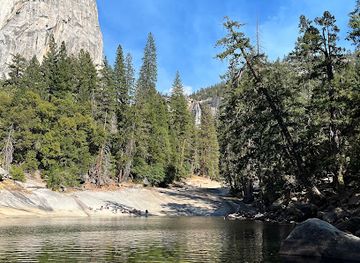 california/yosemite-national-park/attraction/fallen-monarch