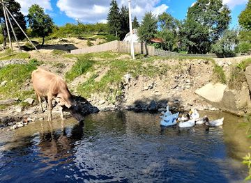 ukraine/pylypets/attraction/pam-yatnyk-zarobitchanam