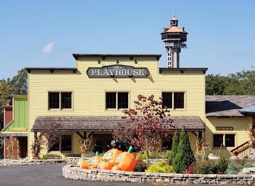 missouri/branson/attraction/bransons-best-zipline-shepherd-of-the-hills-zipline-canopy-tours