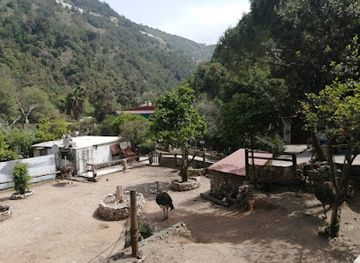 lebanon/jounieh-coast/attraction/animal-city