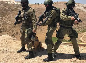 Caliber 3 Gush Etzion