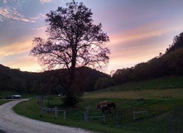 minnesota/driftless-area/attraction/outback-ranch-inc