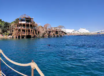 Dolphin Reef Beach