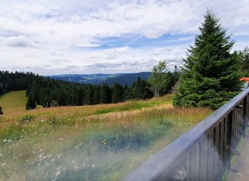 france/vosges-mountains/attraction/la-reserve-naturelle-du-massif-du-grand-ventron