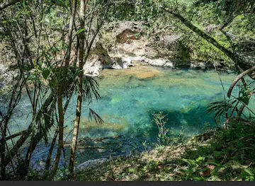 Bali River Lodge