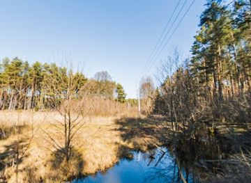 poland/bory-tucholskie/attraction/wyspa-ostrow