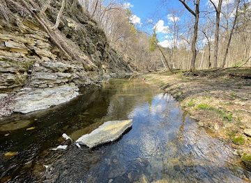 iowa/yellow-river-state-forest/attraction/white-pine-hollow-state-forest